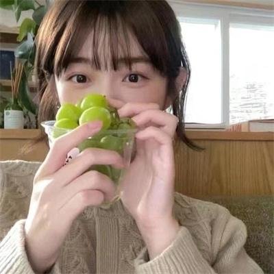 森林随处可见